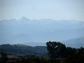 (98) 2009 Sauveterre